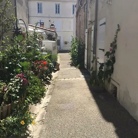 Petit Nid A 50m De La Au Coeur De شقة *