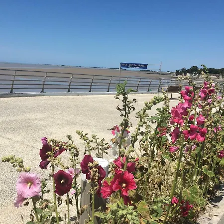Petit Nid A 50m De La Au Coeur De Apartment Fouras