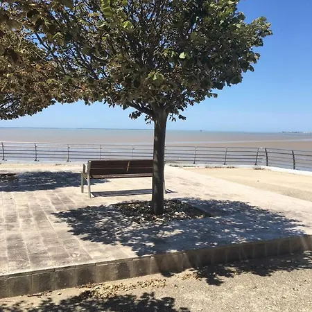 Apartment Petit Nid A 50m De La Au Coeur De
