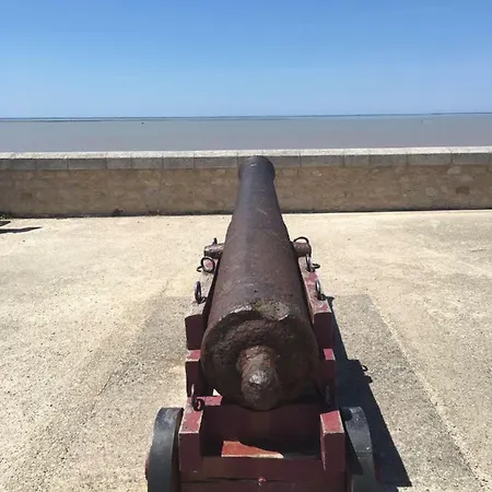 Petit Nid à 50m De La Au Coeur De