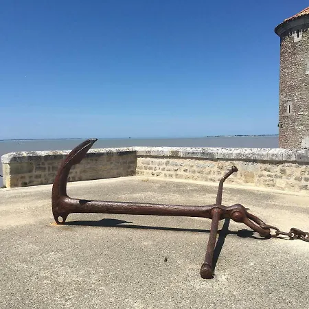 Apartment Petit Nid A 50m De La Au Coeur De