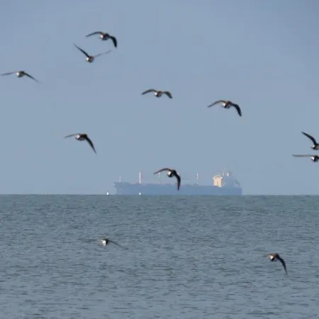 Petit Nid à 50m De La Au Coeur De Appartamento